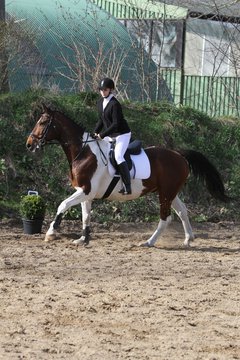 Bild 1043 - WBO-Turnier am 9.4.11